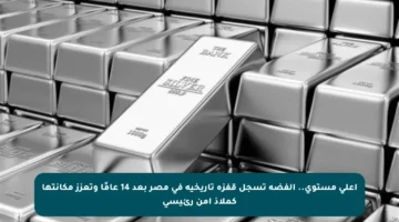 أعلى مستوى.. الفضة تسجل قفزة تاريخية في مصر بعد 14 عامًا وتعزز مكانتها كملاذ آمن رئيسي